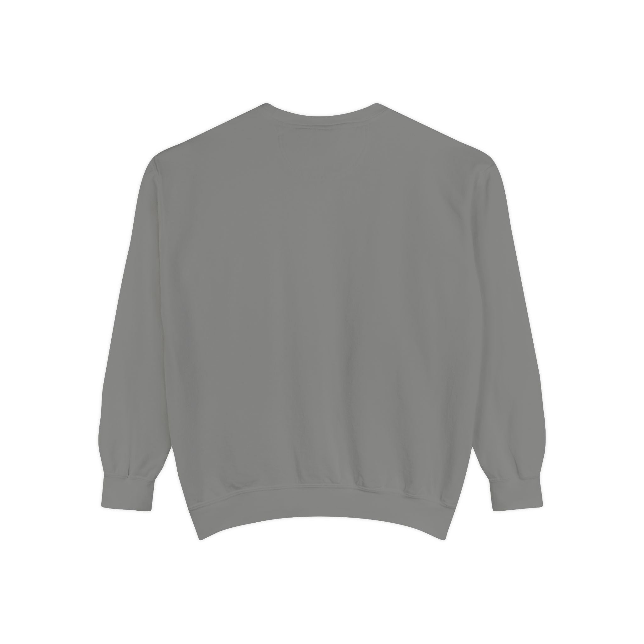 Aokiji Ice Admiral Illustration Sweatshirt | Anime Marine Navarch
