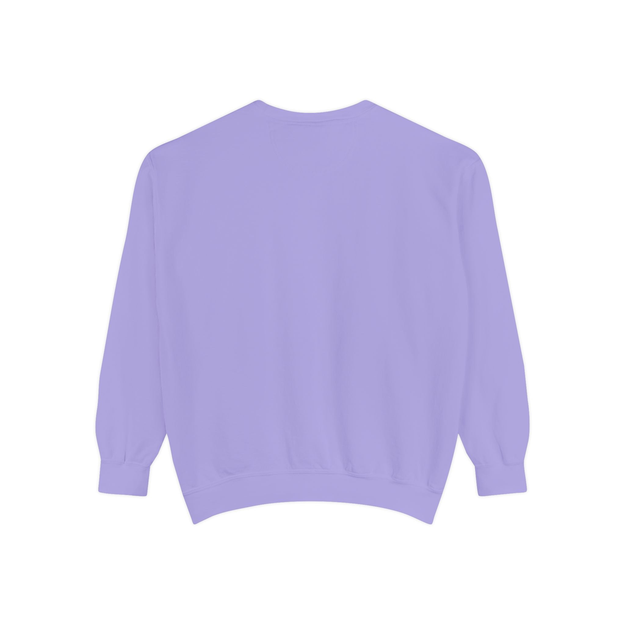 Aokiji Ice Admiral Illustration Sweatshirt | Anime Marine Navarch